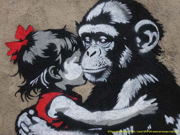 Fillette et chimpanzé-04