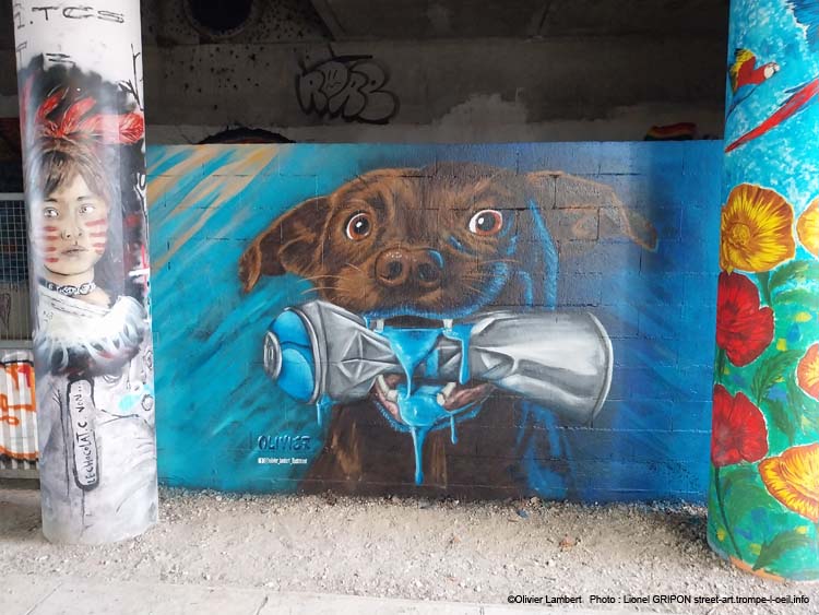Chien graffeur-03