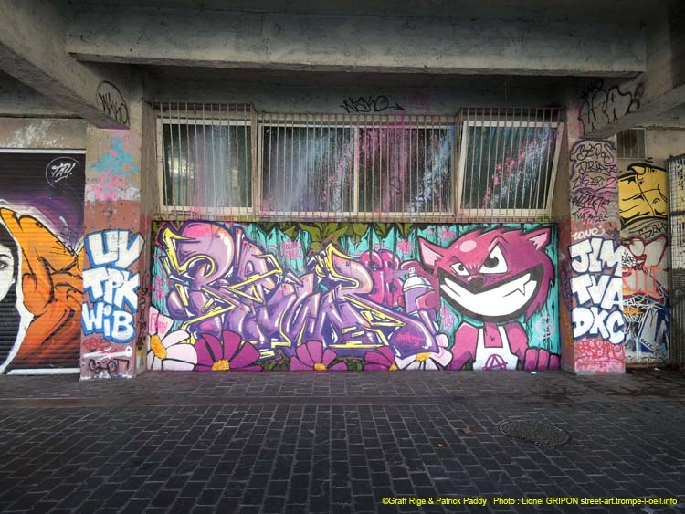 Chat graffeur-02