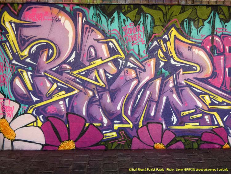 Chat graffeur-02