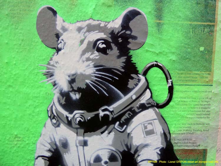 Souris astronaute