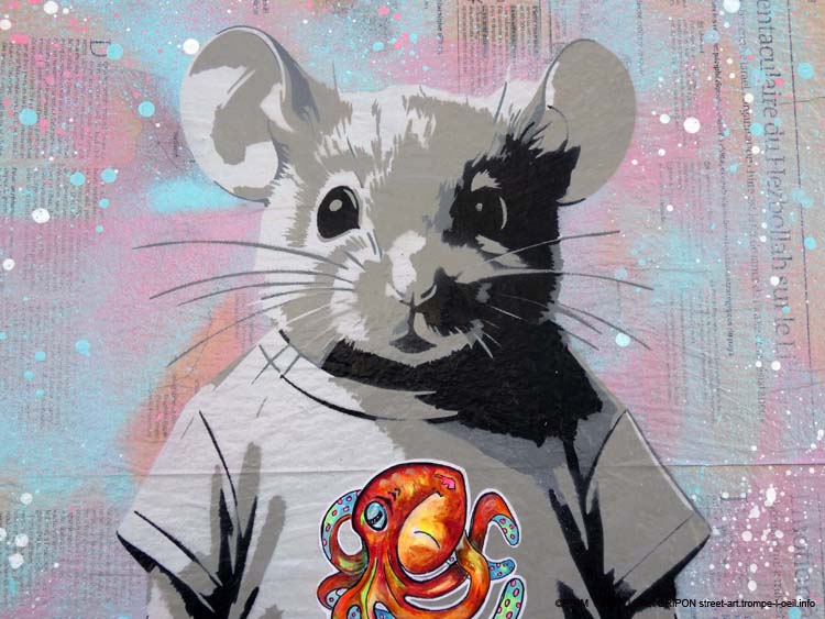 Souris au t-shirt