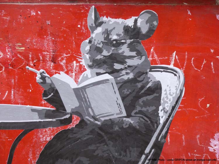 Souris en terrasse