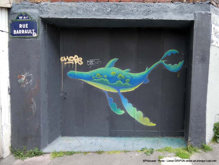 Baleine chamarrée