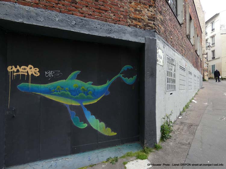 Baleine chamarrée