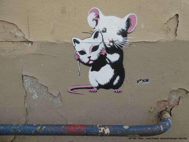 Souris chat-04