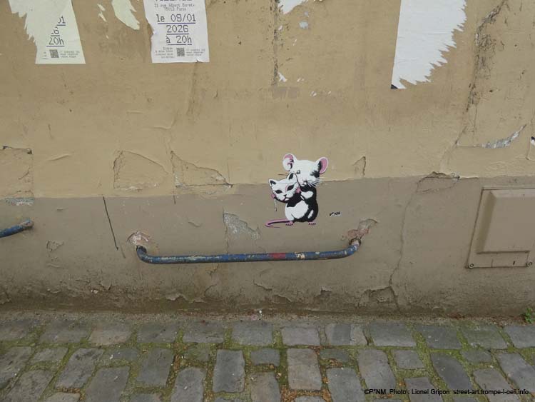 Souris chat-04