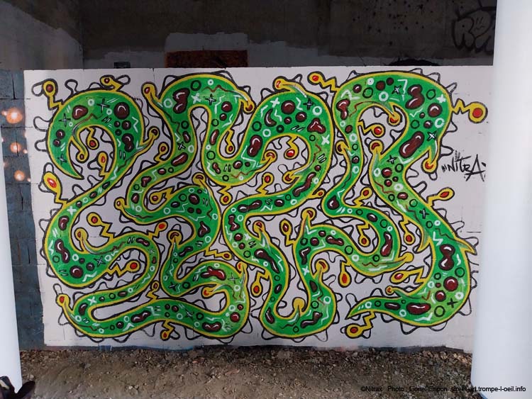 Plante carnivore