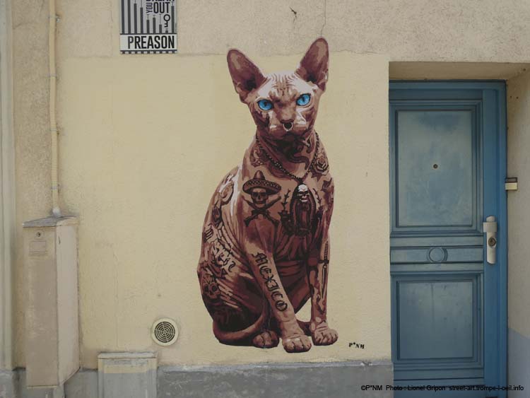 Le Chat Sphynx