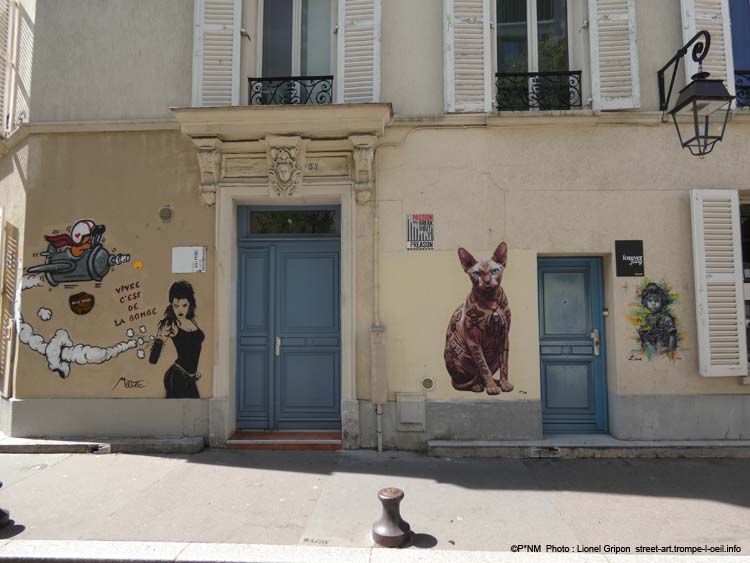 Le Chat Sphynx