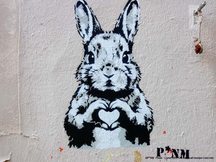 Lapin amoureux