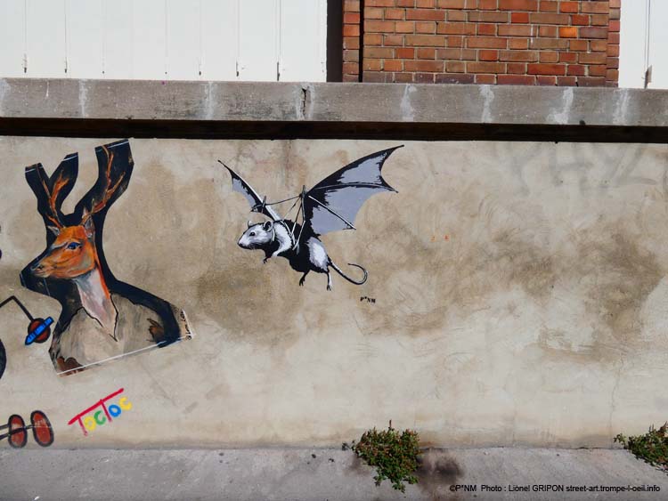 Chauve souris