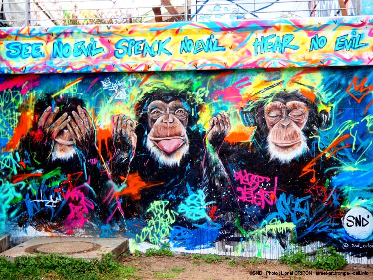 Singes bouddhistes