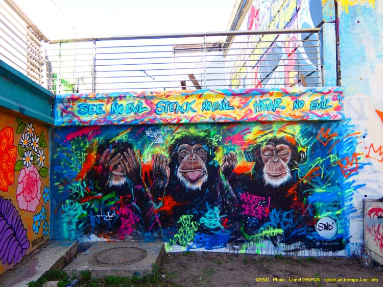 Singes bouddhistes