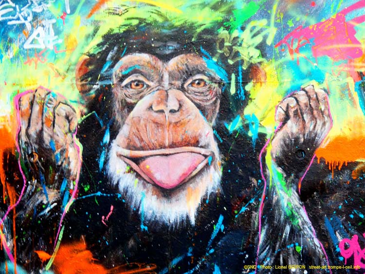 Singes bouddhistes