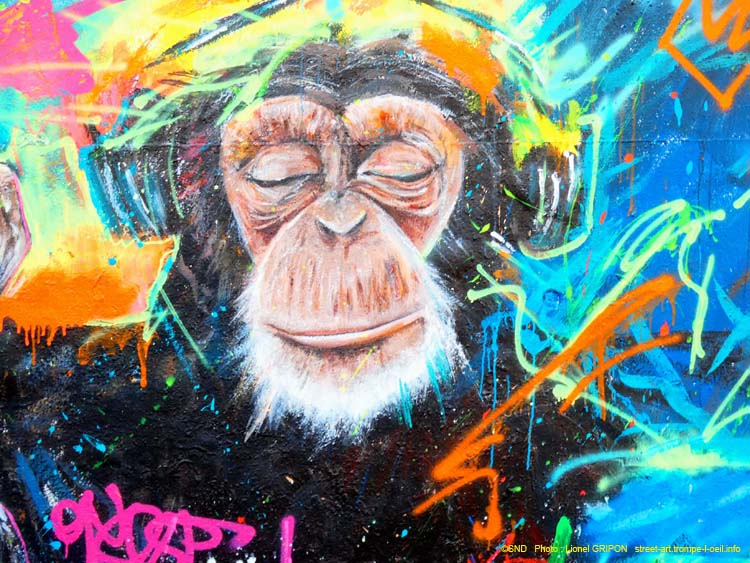 Singes bouddhistes