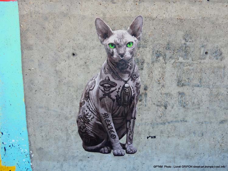 Le Chat Sphynx-04