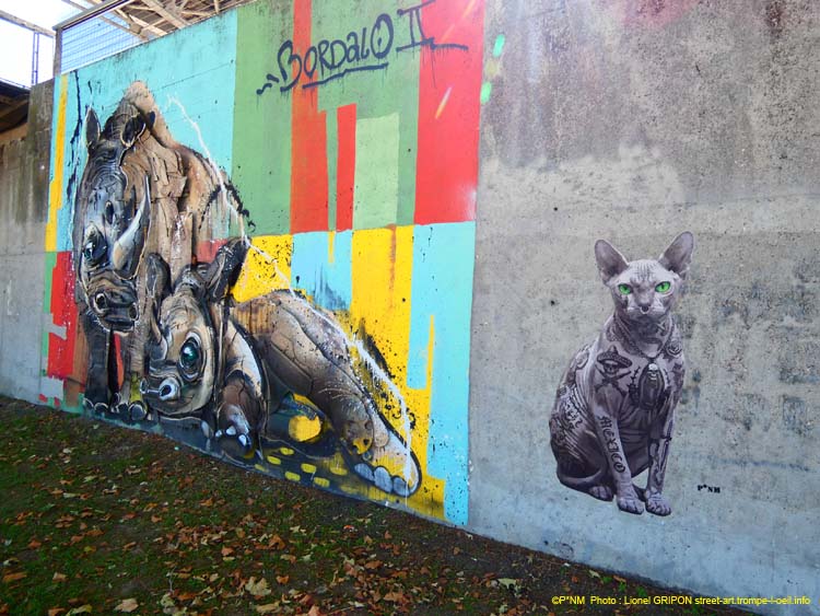 Le Chat Sphynx-04