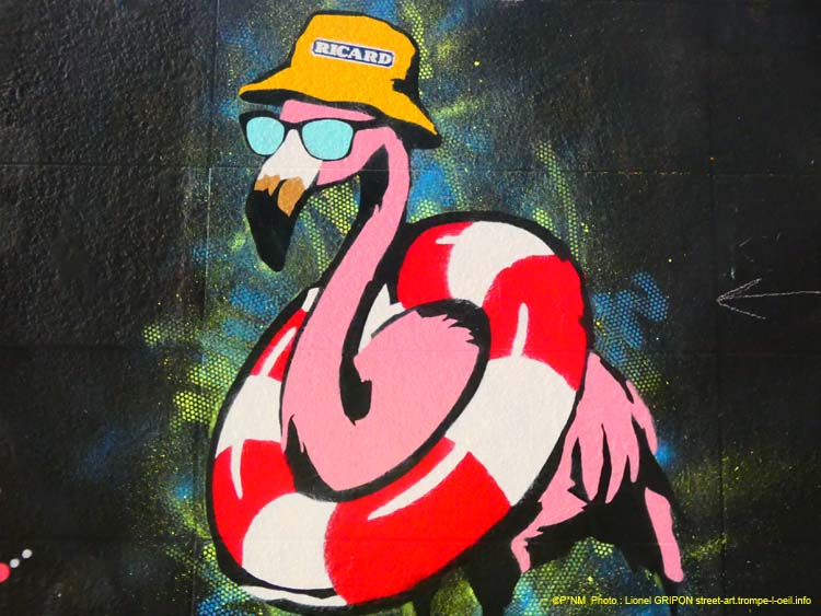 Flamant baigneur