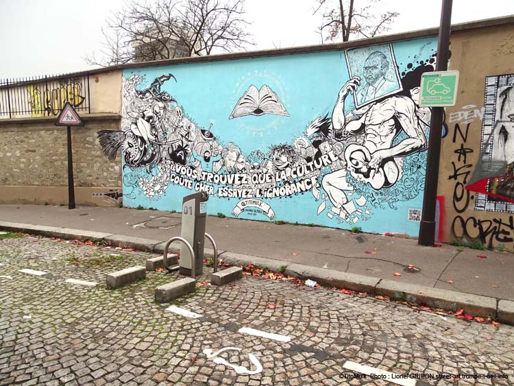 Insania Cultura