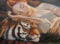 Belle et tigres