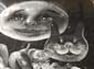 Tableau animalier-02