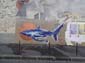 Requin Long