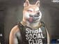 Shiba