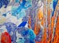 Forêt et incendie