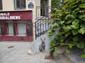 Le Chat Sphynx-02