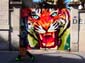 Gros tigre roux