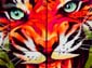 Gros tigre roux