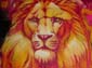 Lion Zion