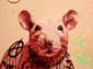 Rat Sphynx-01