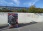 Autruches folies-3