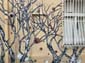 Arbres sans feuille