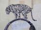 Tigre et femmes nues