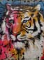 Tigre grrr