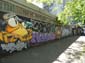 Crabe graffeur