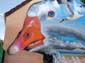 Oye-Plage-02