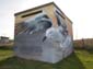 Mouette rieuse-02