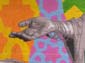Le mur Pantin-04