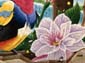 Oiseaux et papillons