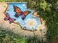 Oiseaux et papillons