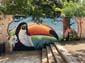 Oiseaux et papillons