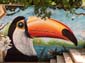 Oiseaux et papillons