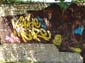 Mur libre-10 Rokad