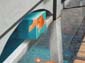 Passerelle dangereuse