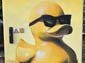 Poussin jaune