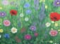 Prairie fleurie